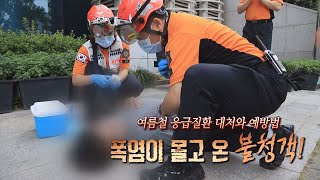 여름철 응급질환