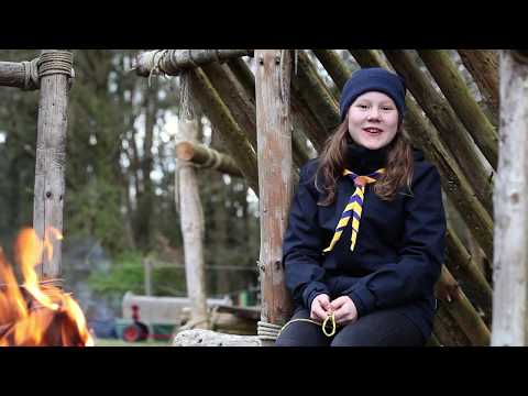 Palstek - die Grizzly Variante