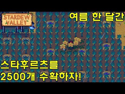 #28 여름에 스타후르츠 2500개 수확하는 기분 좋은 영상 - 대암씨 / 스타듀밸리