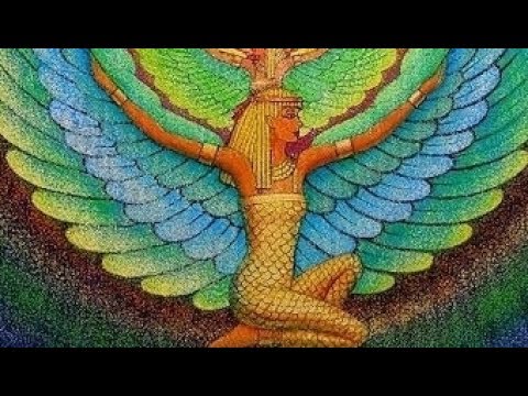 Great Charity Shop Finds No 76 - Egyptian Traditional Music 3