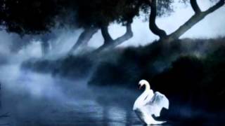 ---( SOLEDAD - AMY SKY )---Eduardo Araújo.