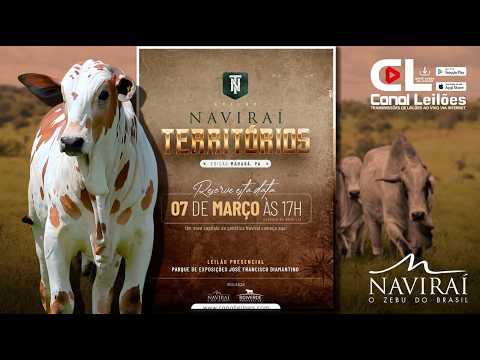 LEILÃO NAVIRAÍ TERRITÓRIOS - Edição Marabá-PA | 07/03/2026