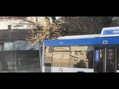 STCP NO LINHA 805 VEÍCULOS 3141, e 3167, e 3183