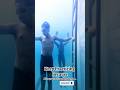 Swimming Motivation For All The Beginners Swimming Training Swimming Motivation
