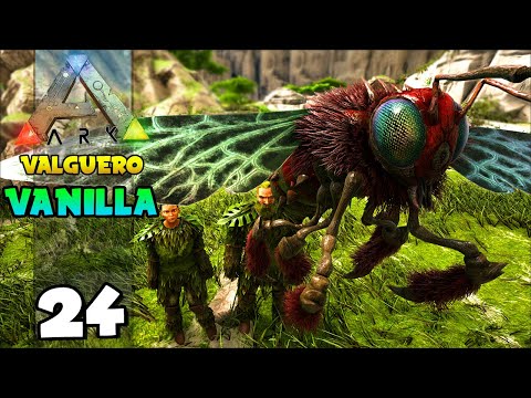 DOMAMOS A ABELHA RAINHA!!! ARK: VALGUERO (VANILLA) 24