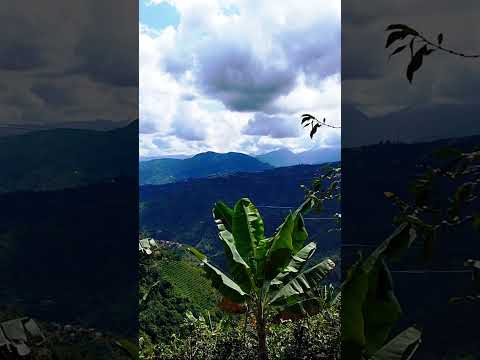 📍Belén de Umbría, RisaraldaTierra de montañas infinitas, cafetales y gente amable.