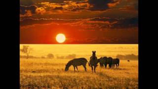 Charles Hamilton - You Ready, B?