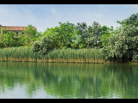 Eraclea Terra e Mare -  Entroterra