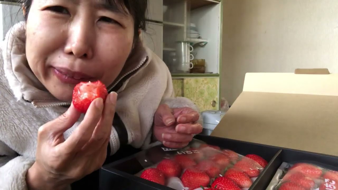 (プレミア) ぶんちゃんから愛のプレゼントに感謝　いちご