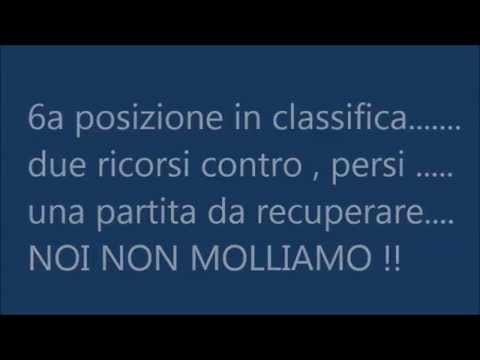 Calcio a 5 Marche - Cat. C1