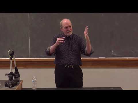 Leigh Brasington and "Jhana-Lite" (Why there is no such thing as "jhāna-lite")