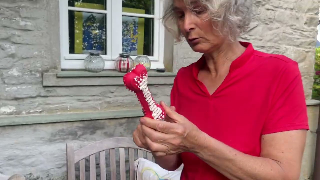 Warum legt sich mein Hund draußen nicht hin?