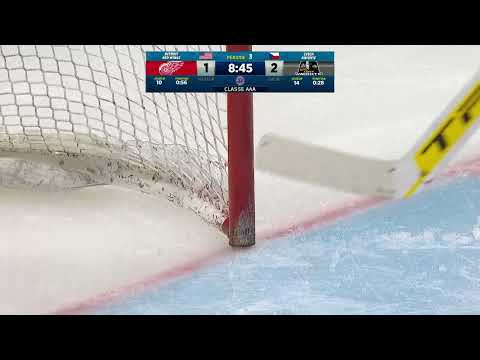 PEEWEE/DETROIT RED WINGS - CZECH KNIGHTS/AAA/final/3rd period