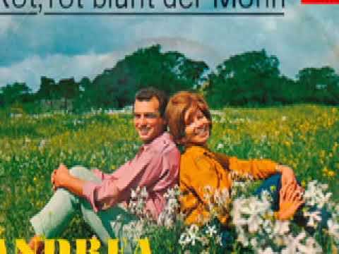 Andrea und Wyn Hoop - Rot, rot blüht der Mohn