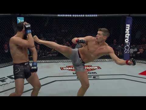 STEPHEN THOMPSON IMPRESSIVE KICKING VS JORGE MASVIDAL