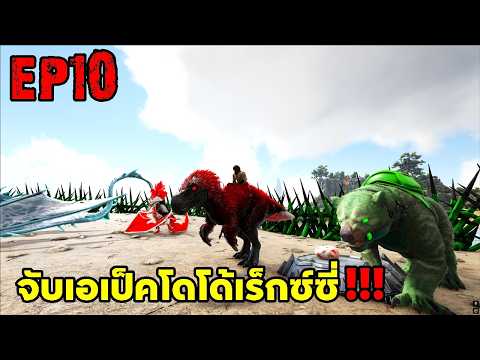 จับเอเป็คโดโด้เร็กซ์ซี่!!! ARK SUPREME EP10