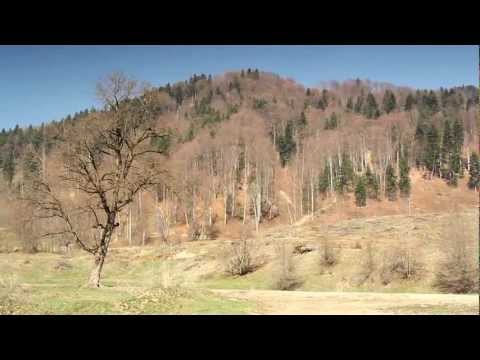 Spring dream in Negulesti - Neamt County