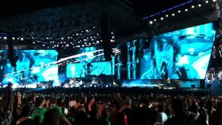 Ligabue - 09 - Figlio di un cane