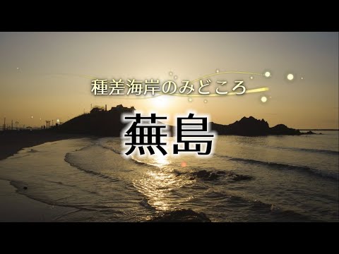 みちのく潮風トレイル「蕪島」