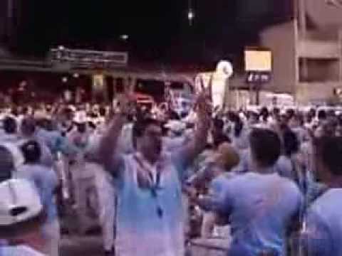 Beija Flor 2010 pronto