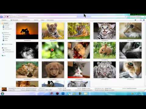 Los GRANDES 35 suscriptores [GRAN PACK PARA SER 35] :)