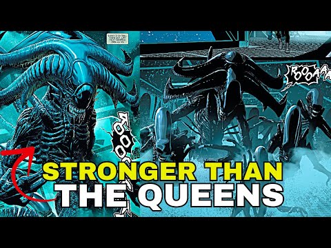 The Origins of the ALPHA XENOMORPH and its Story - What is the Alpha Alien