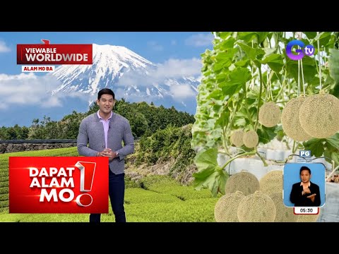 Isang prutas sa Japan, aabot sa P1.8 milyon ang presyo kada piraso? Dapat Alam Mo!