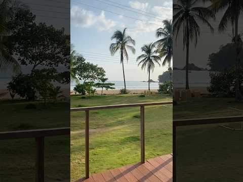 Welcome to the Darien Lodge