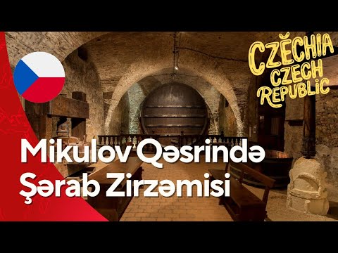 Mikulov Qəsrində Şərab Zirzəmisi – Wine Secrets in Czechia #MikulovCastle #WineCellar #CzechiaTravel
