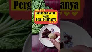 Download lagu Batuk dan Sesak Nafas Pergi Selamanya mp3 Download lagu Batuk dan Sesak Nafas Pergi Selamanya mp3