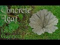 Concrete Leaf | Large Gunnera