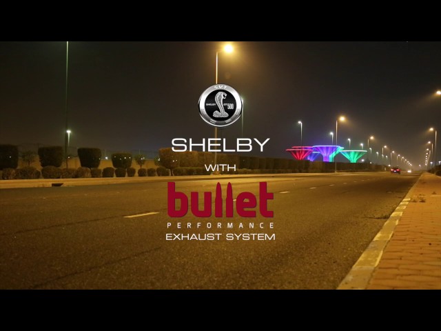 FORD SHELBY AXLEBACK (2013-2014)