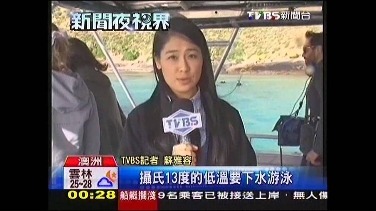 與海獅共游 台女挑戰野生動物保護員