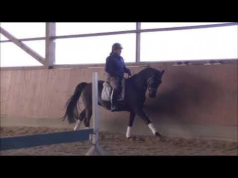 Finest Rotspon komplett