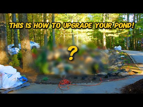 The SECRET to a beautiful pond!