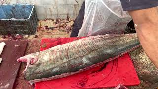 Gorgeous King Fish Amazing Cutting at Oman Fish Market। Fastest King Dish Cutting Skills  2022