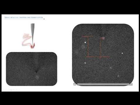 LCN Joint Seminar Series - Single-Molecule Science- 24 February 2021