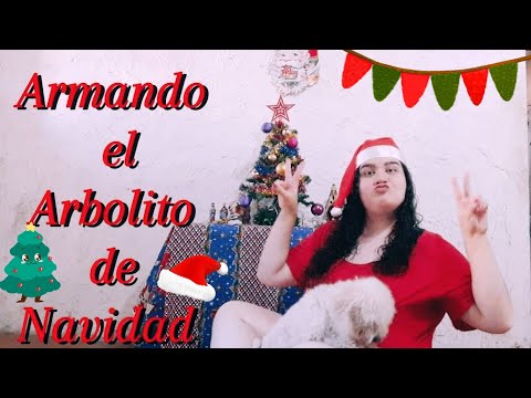 ARMANDO EL ARBOLITO DE NAVIDAD // ROCHA ENRIQUEZ