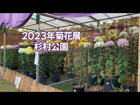 Exposição de Crisântemo da Cidade de Hashimoto 2023