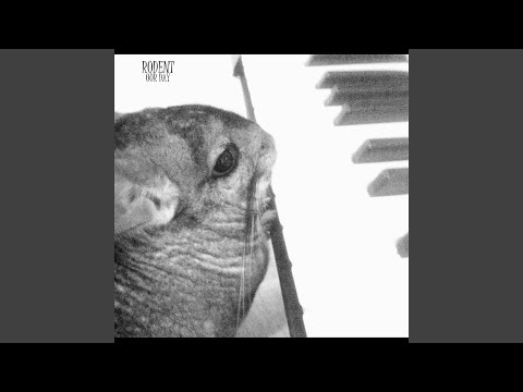 download lagu mp3 mp4 Funktronix, download mp3 Funktronix free download mp3, download mp3 Funktronix