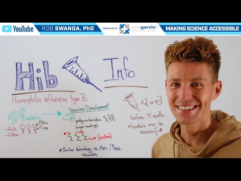 How the Hib Vaccine (Pentacel and Vaxelis) Works