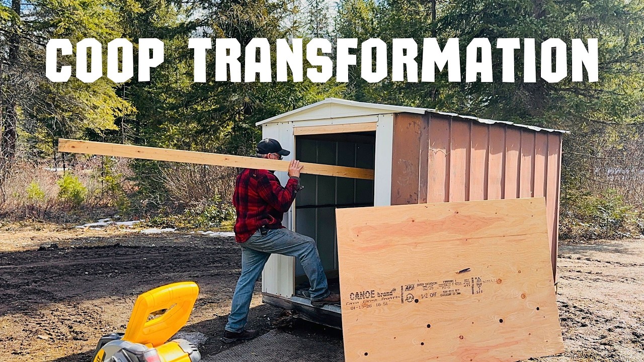 Chicken Coop Build Begins | Tree Trouble and Big Plans