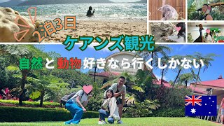 ケアンズの観光地を3日で周る!自然と動物好きならオーストラリアがおすすめ!スカイレール | キュランダ | クロコダイルアドベンチャー
