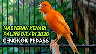 Download lagu Terbukti AMPUH!! Terapi Kenari Macet Bunyi Paling Ampuh 2026 - 3 Hari Bunyi Lagi! mp3 Download lagu Terbukti AMPUH!! Terapi Kenari Macet Bunyi Paling Ampuh 2026 - 3 Hari Bunyi Lagi! mp3