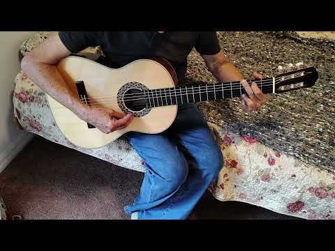 Hippner Concert Level Classical Guitar NOS image 13