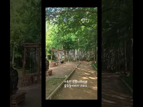 강추 숲속놀이터 #parktour #park #Incheon