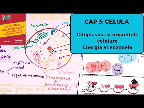 ADMITERE MEDICINA BARRON'S: CELULA 2/4: Citoplasma și organitele celulare, energia
