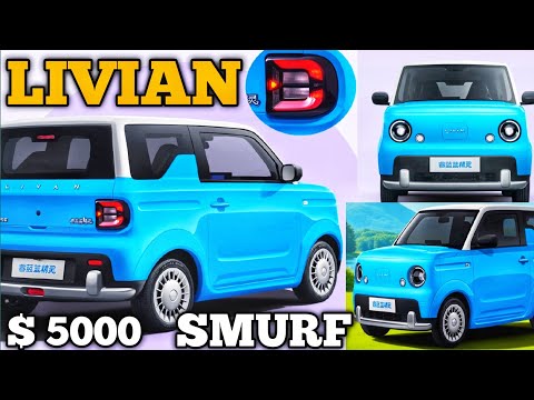 Livian Smurf EV Review: Is This $5,000 Car Worth It #Livian #liviansmurf #LivianSmurfEV