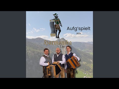 Am Riffelspitz (Live-Mitschnitt)