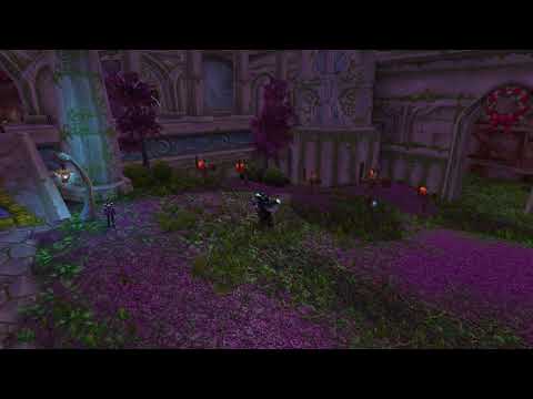 MMO Champion Spell Footage